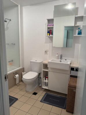 Assecador de cabells, bidet, tovalloles i sabó 