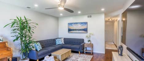 電視、壁爐、書籍