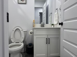 Secador de cabelo, toalhas de banho, sabonete, papel higiênico