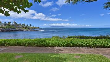 Apartment | 1 bedroom, Internet