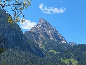 A mountain landscape with a prominent peak, dense forested areas, and a clear sky. - Malgré-tout by Interhome (Saanen)