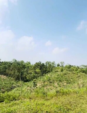 Ngoại thất