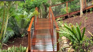 A wooden staircase leading up to a platform surrounded by lush greenery and trees. - Garigal Retreat with Pool access (Forestville)