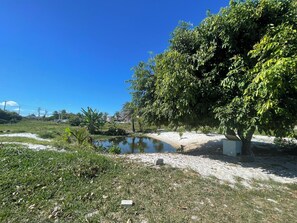 Área da propriedade