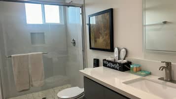 Hair dryer, towels, soap, shampoo