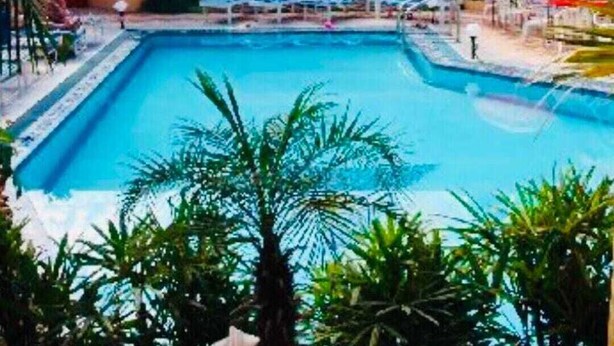 Ein Pool mit Liegestühlen und Sonnenschirmen, umgeben von Palmen und viel Grün.