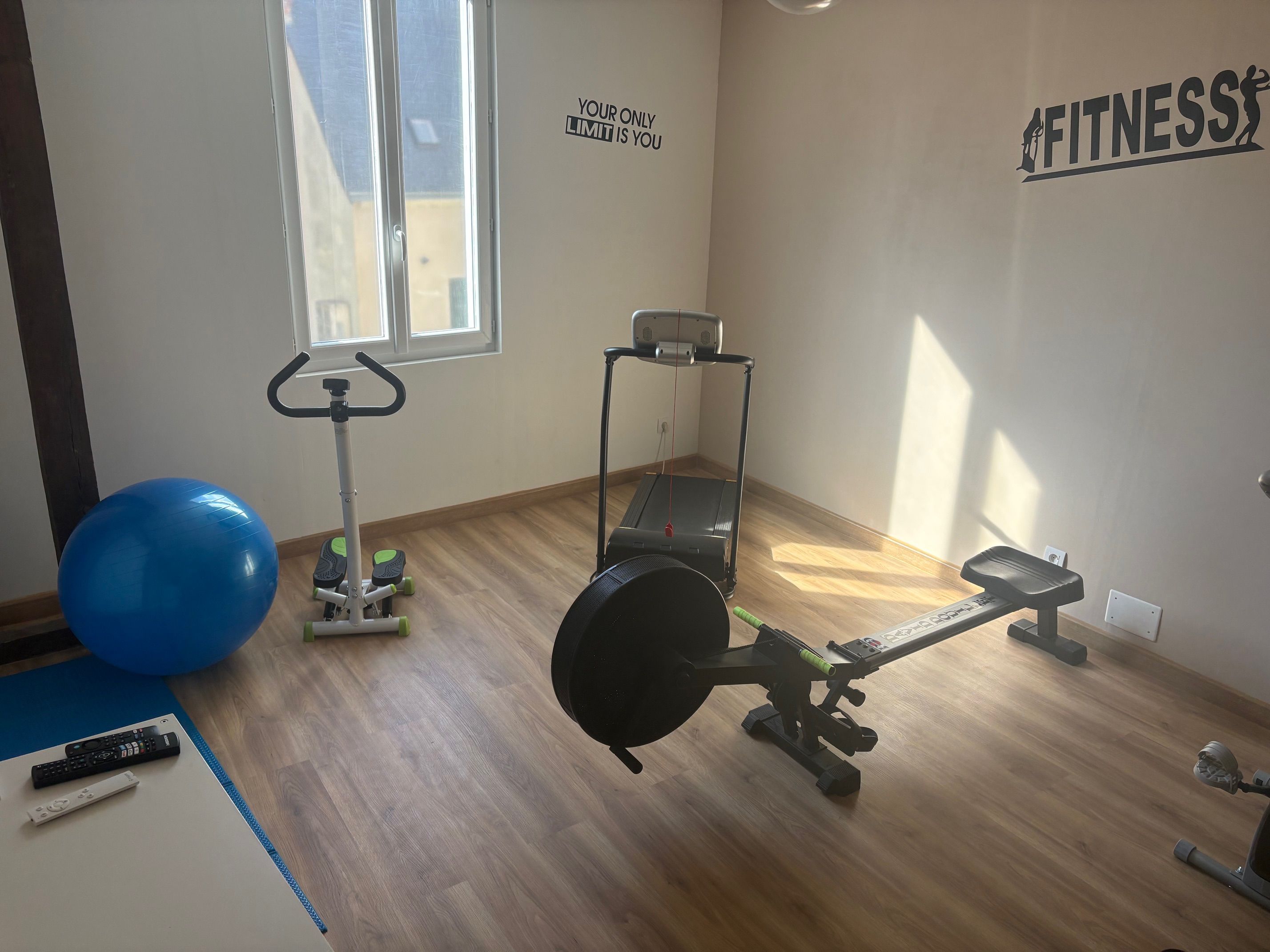 A gym with exercise equipment, a blue exercise ball, and motivational wall decals.