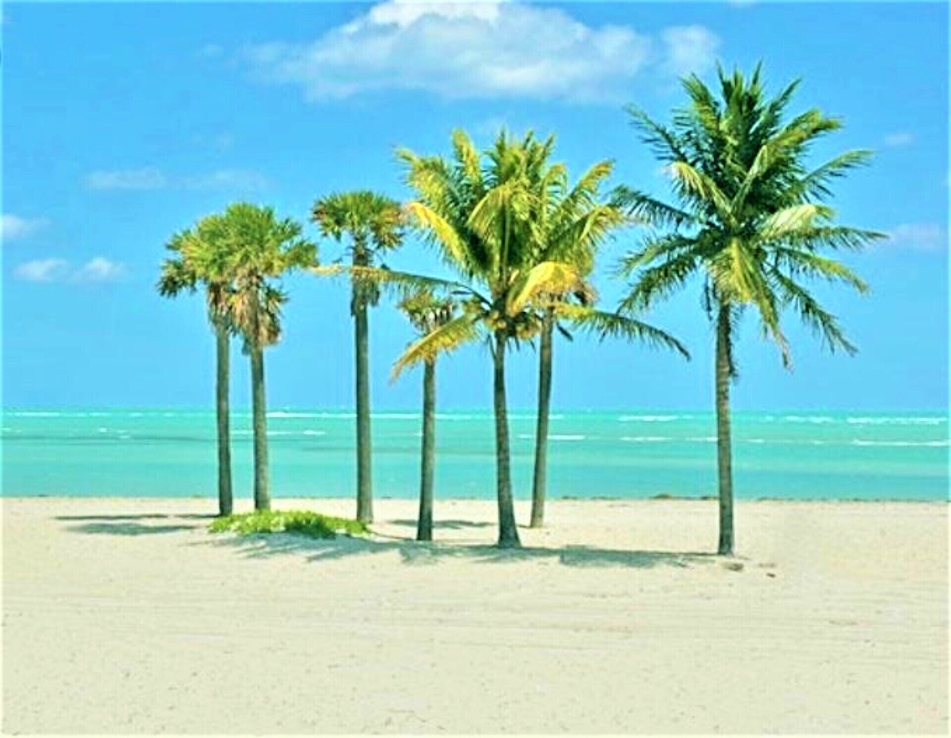 Beach nearby, sun-loungers, beach towels