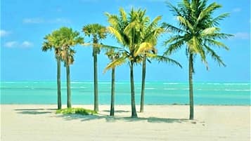 Beach nearby, sun-loungers, beach towels