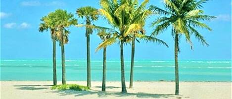 Vlak bij het strand, ligstoelen, strandlakens