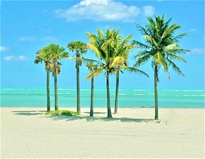 A beach with palm trees and a clear blue sky.