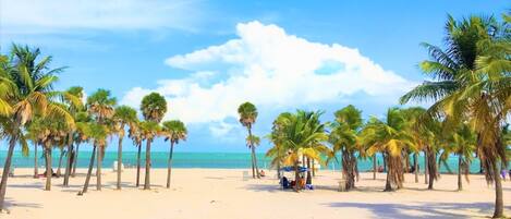 Plage à proximité, chaises longues, serviettes de plage