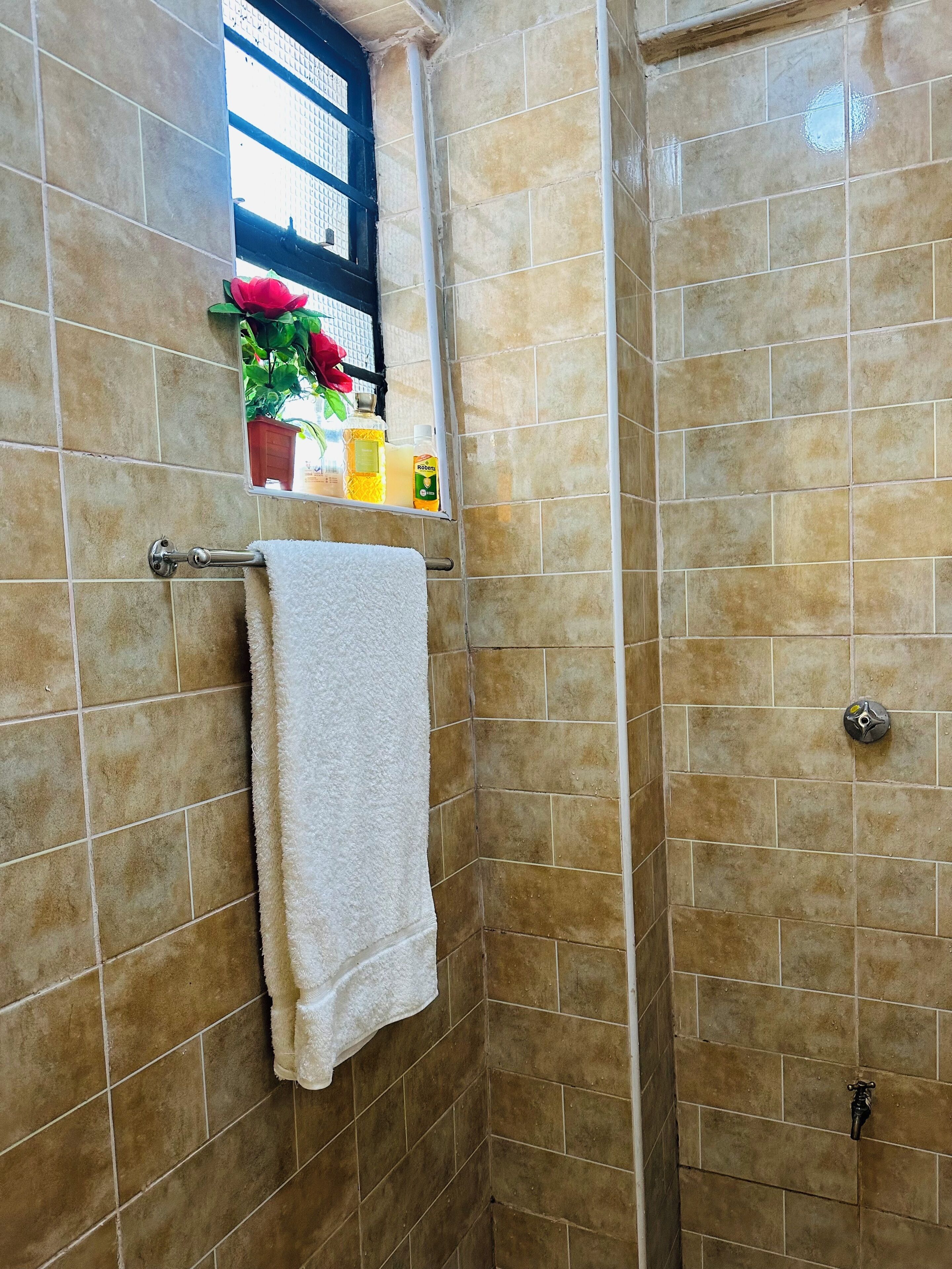 Hair dryer, towels, soap, toilet paper