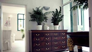 A room with a dark wooden dresser with multiple drawers and brass handles, potted plants on top, and a large window with a view of the outside. - Ratskeller Hotel & Restaurant Lindow  (Lindow)