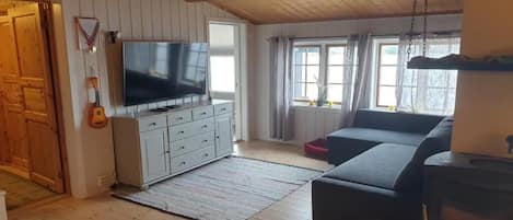 Télévision, cheminée