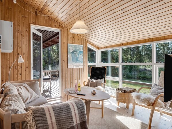 Televisión y chimenea 