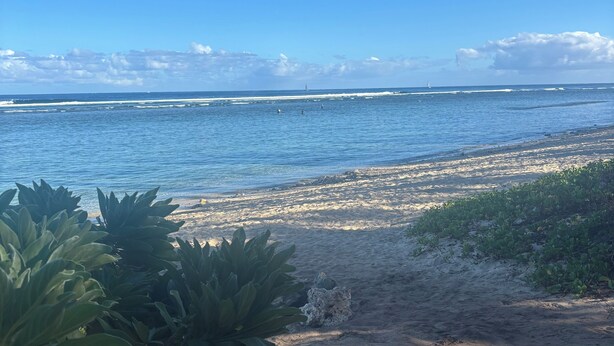 Una spiaggia con acque cristalline blu, una riva sabbiosa e un po' di vegetazione sullo sfondo.