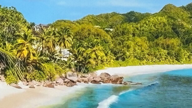Ein Strand mit klarem türkisblauem Wasser, weißem Sand und üppiger Vegetation, darunter Palmen.