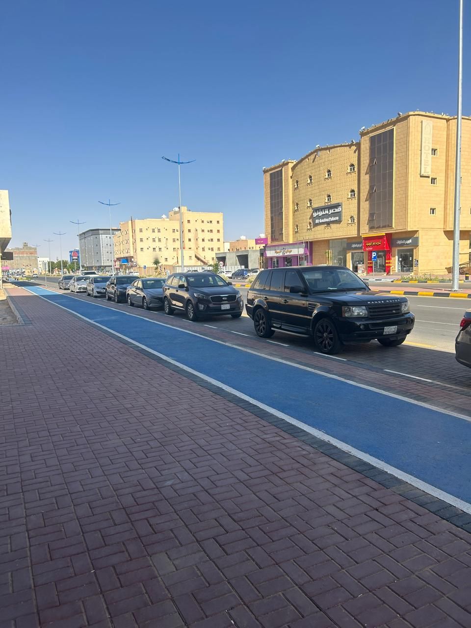 Een straat met geparkeerde auto's en een gebouw met een bord waarop 'Mansoura Palace Hotel' staat.