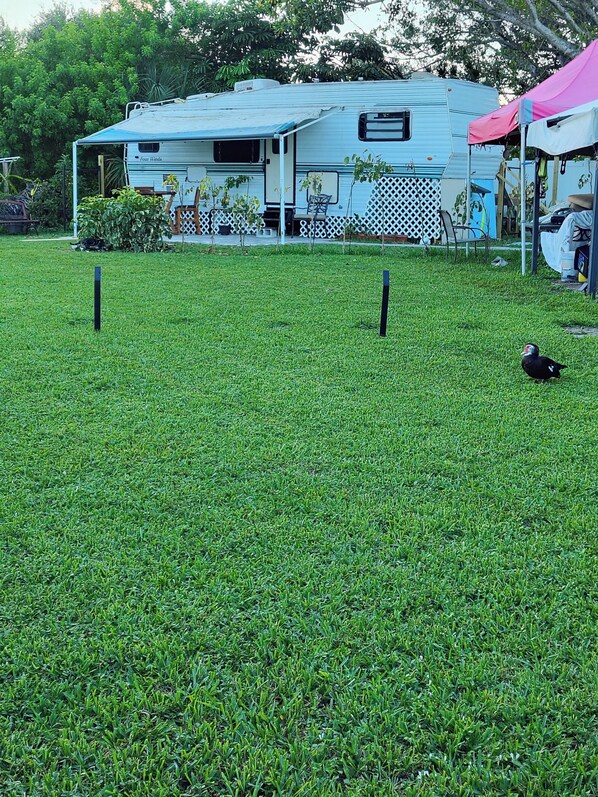 A grassy area with a mobile home in the background. - Charming Lakefront RV with AC in Pompano Beach (Pompano Beach)