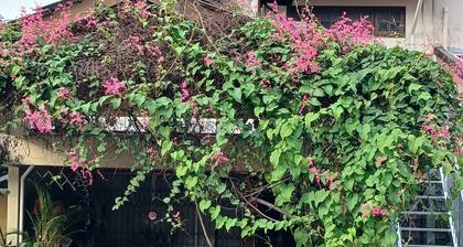 Serene Mountain Retreat in KL - Entire House for Rent