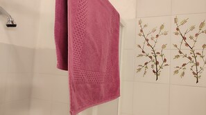 Shower, hair dryer, bidet, towels