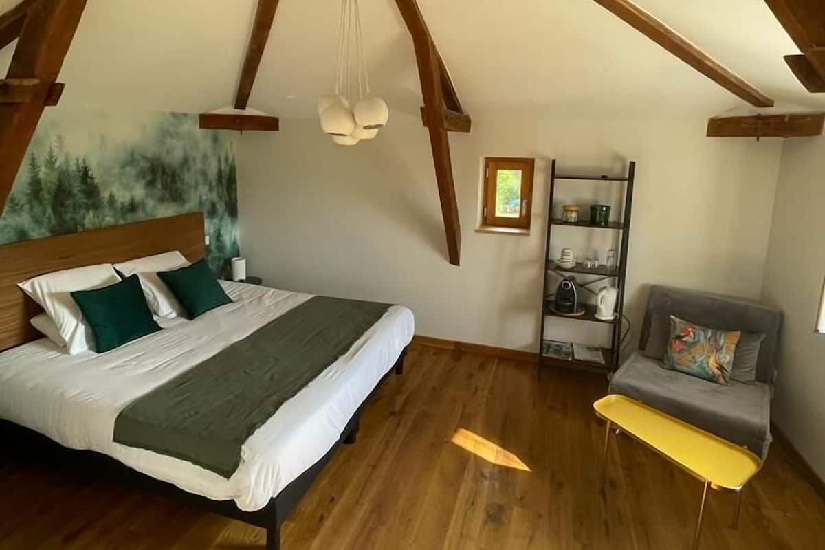 Habitación con 1 cama matrimonial o 2 individuales, vista al jardín | Insonorización y wifi gratis