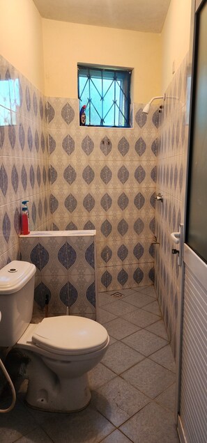 Een douche, handdoeken, zeep, toiletpapier