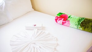 Basic Double Room | Meja, ruang kerja komputer riba, Wi-fi percuma 
