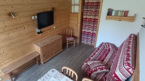 TV