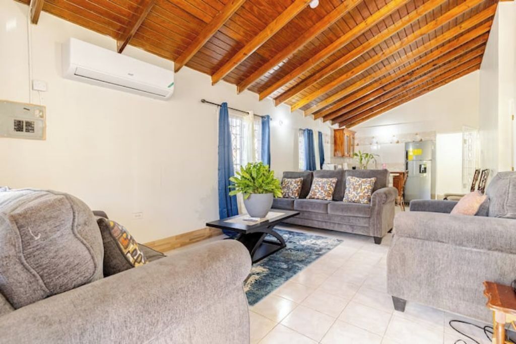 A living room with grey sofas, a coffee table, and a potted plant.