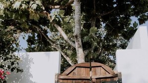 A wooden gate with a metal latch, set against a white wall with a tree and pink flowers to the left. - Moro Kihaadhoo (Kihaadhoo)