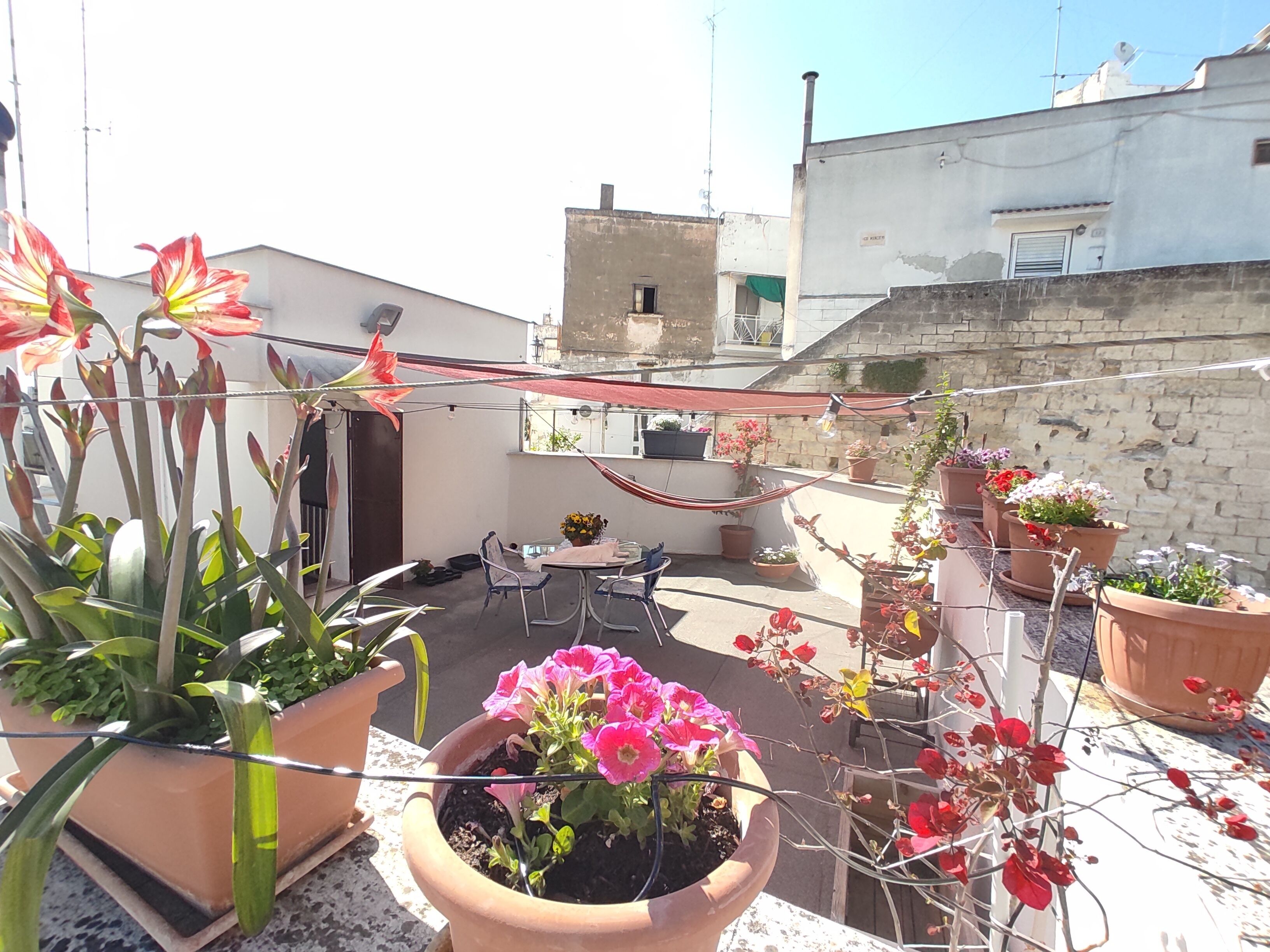 Une terrasse sur le toit agrémentée de plantes en pot, d’un hamac et d’une petite table avec des chaises.