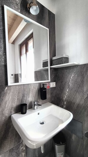 Shower, hair dryer, bidet, towels