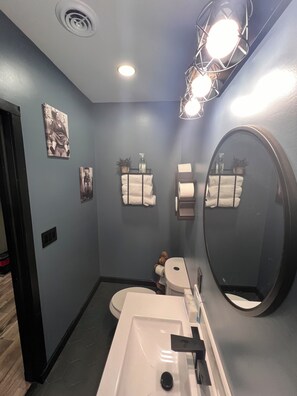 Shower, hair dryer, towels, soap - Red’s Baile Stunning Mexico Country Home, Bar, Games, Fitness, Pond & Fire pit. (Mexico)