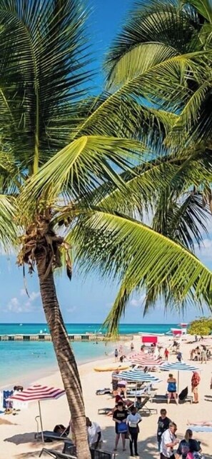 Sun-loungers, beach towels