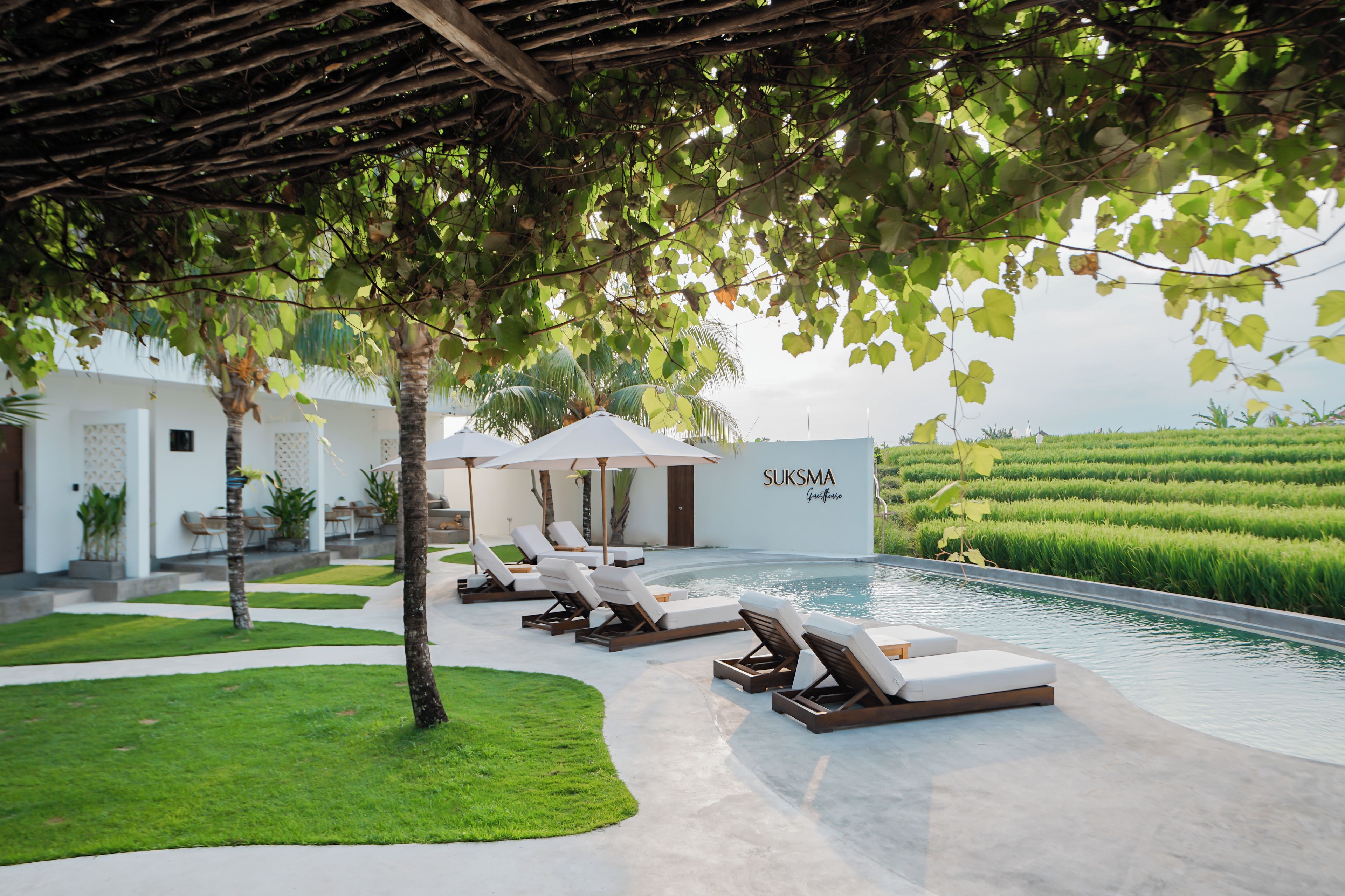 A poolside area with lounge chairs and umbrellas, a well-maintained lawn, and a building with 'SUKISMA' signage.
