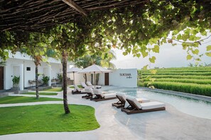 A poolside area with lounge chairs and umbrellas, a well-maintained lawn, and a building with 'SUKISMA' signage. - Suksma Guesthouse (Tumbak Bayuh)