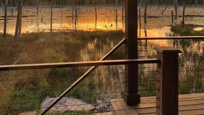 A wooden deck with a railing overlooking a flooded field with trees and a sunset in the background. - Hemlock Hideaway – Luxury Cabin - Romantic & Remote Getaway in Upstate, NY (Otego)