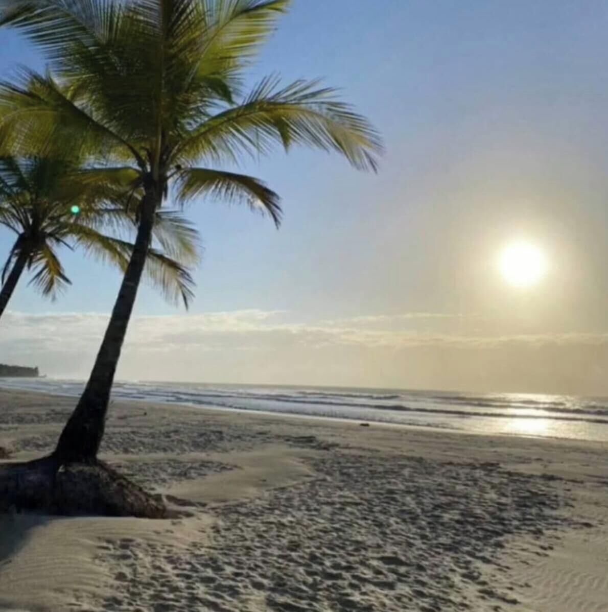 Uma praia com palmeiras e o sol se pondo sobre o oceano.