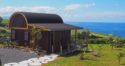 Peaceful Designer Cabin Retreat with Ocean Views