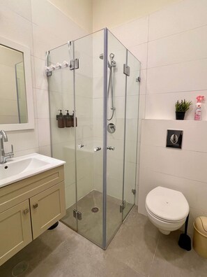 Shower, hair dryer, towels