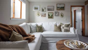 Smart TV, fireplace, books, computer monitors