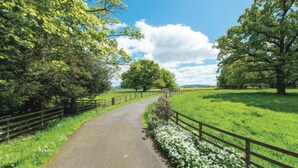 A paved rural road flanked by wooden fences and lush greenery.