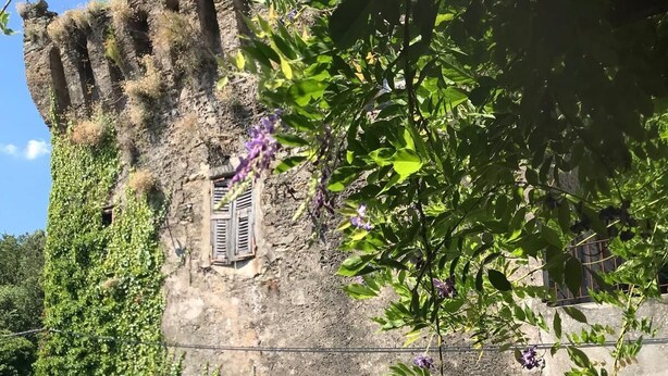 A historic stone building with ivy growth, a wooden door, and a small window.