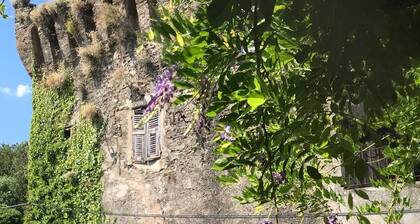  Cap Corse -30% : Bright apartment with terrace facing the Seneca tower