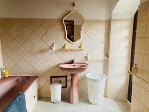 Asciugacapelli, bidet, asciugamani, sapone