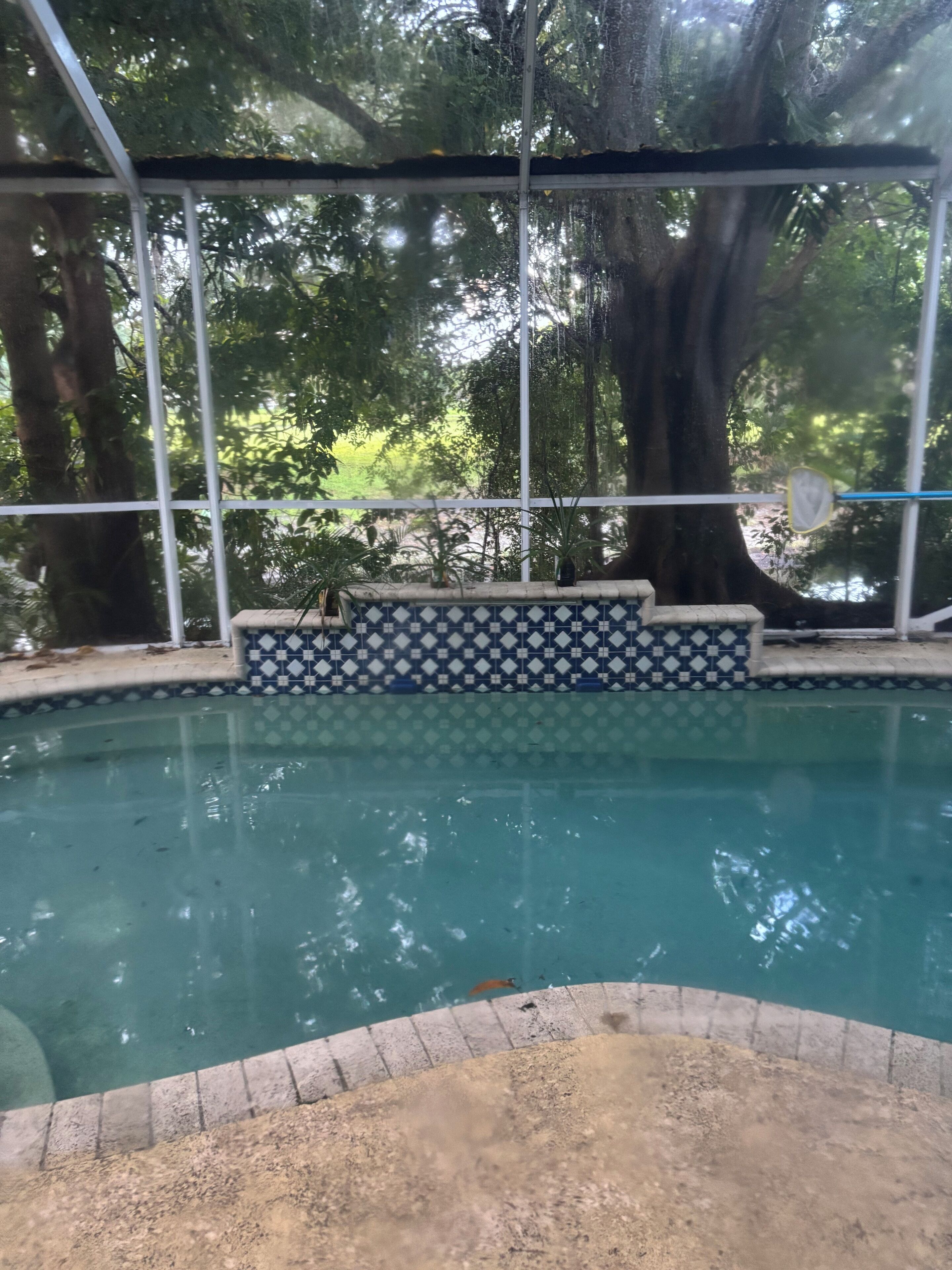 A swimming pool with a tiled edge, surrounded by a metal fence and trees.