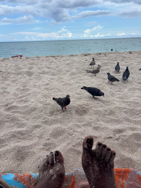 Beach