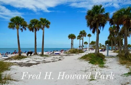 Cozy & private guest suite in heart of Tarpon Springs!